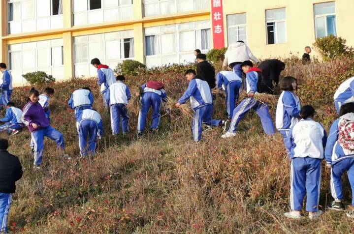 说明: E:\团委事宜\团委\志愿者活动\2019.3.5“3·5”学习雷锋精神志愿服务活动\除草公益活动图片\微信图片_20190301124302.jpg微信图片_20190301124302